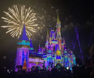 Magic Kingdom fireworks at night.