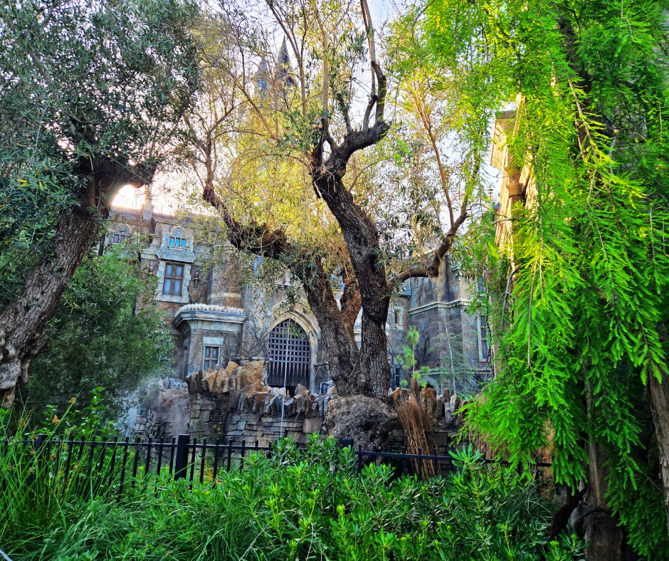 Epic Universe 2025: Your Ultimate Orlando Guide - DVC Advantages