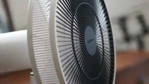 Fan in room