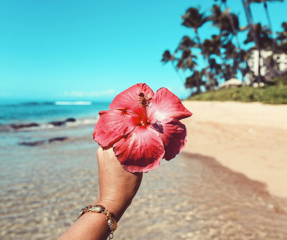 A hand holding a beautiful flower against the backdrop of a beach.